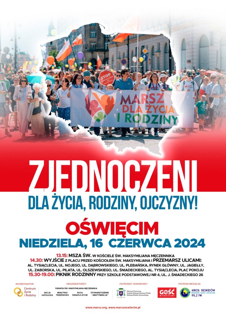 Uczestnicy Marszu dla Życia i Rodziny w Oświęcimiu