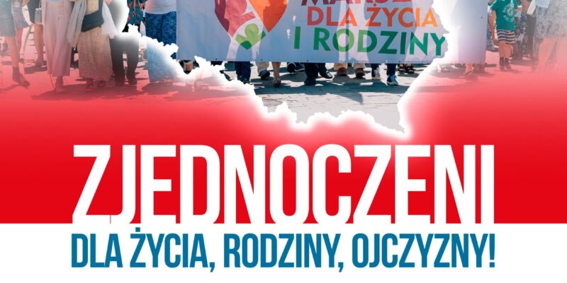 Uczestnicy Marszu dla Życia i Rodziny w Oświęcimiu