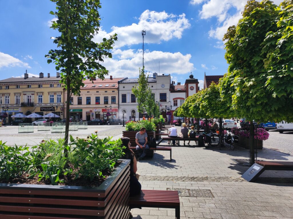 Zielony Rynek w Oświęcimiu - Więcej Drzew i Cienia