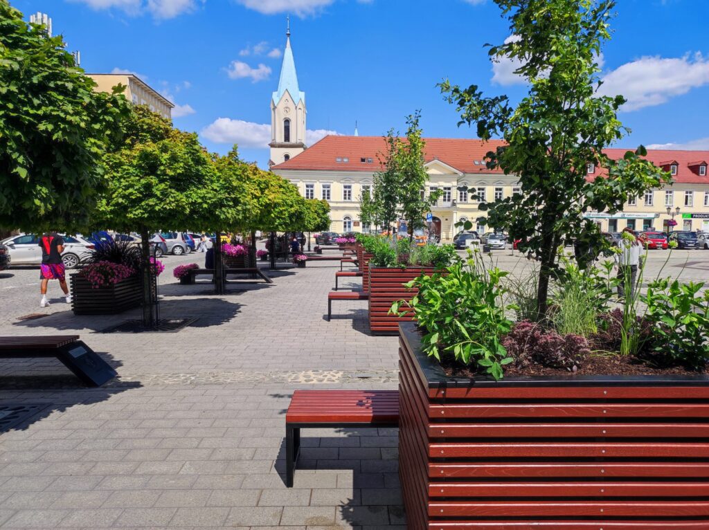 Zielony Rynek w Oświęcimiu - Więcej Drzew i Cienia