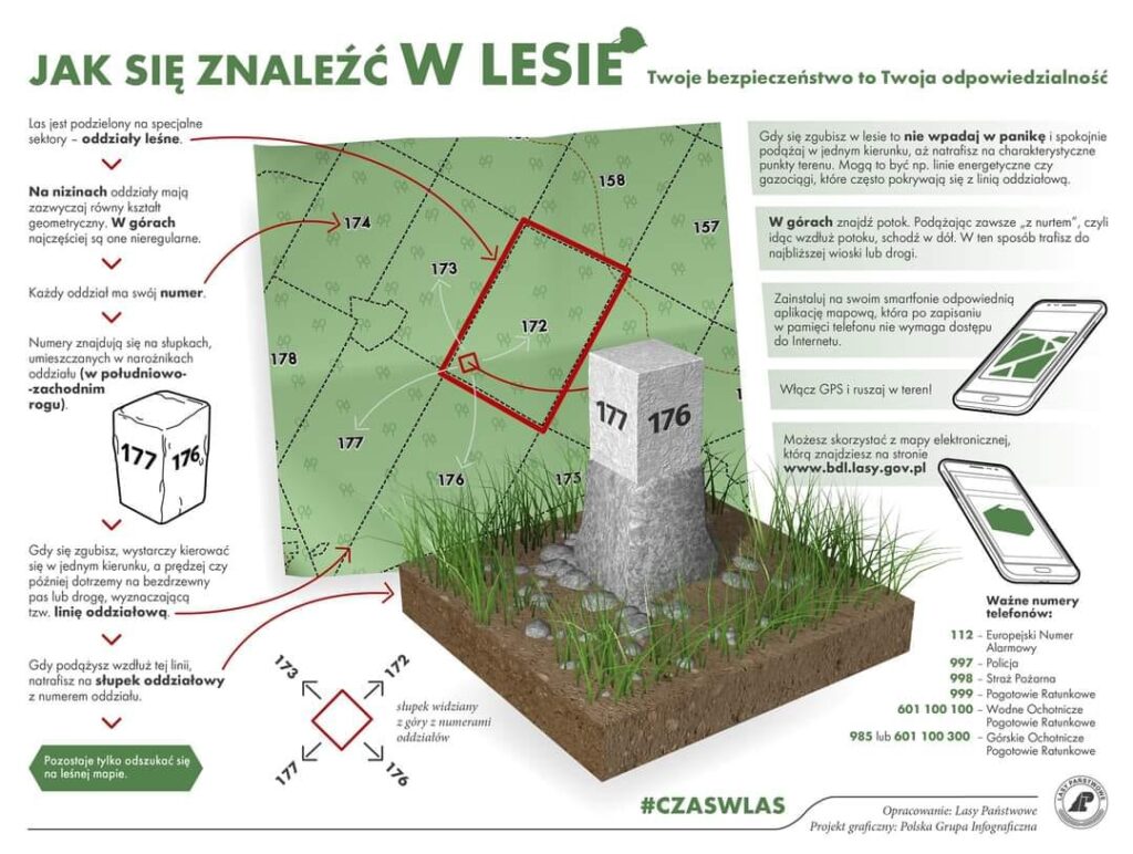 Jak się Znaleźć w Lesie: Przewodnik dla Początkujących