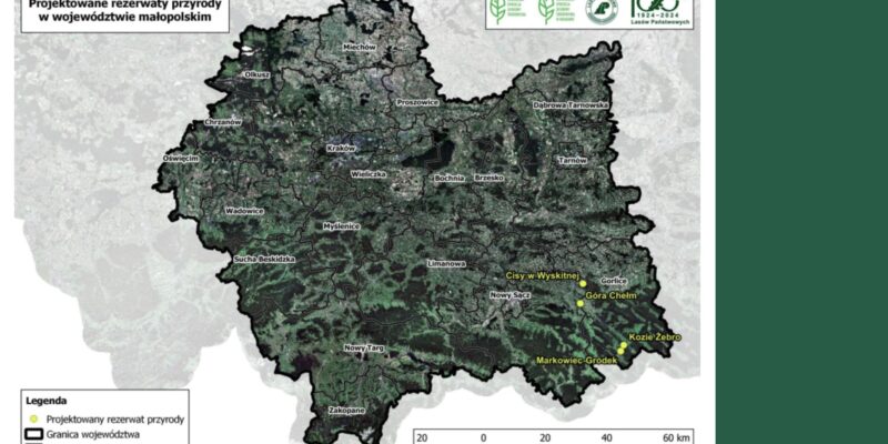 Nowe rezerwaty przyrody w Małopolsce: Cisy w Wyskitnej, Góra Chełm, Kozie Żebro i Markowiec-Gródek