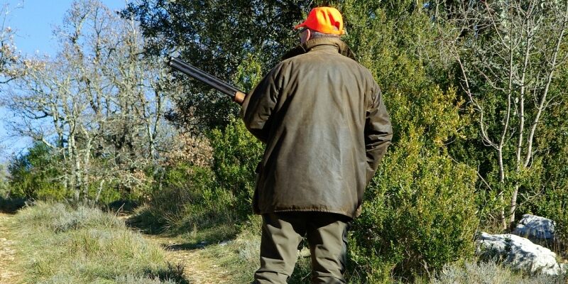 Plan polowań – tradycja w zgodzie z naturą i poszanowaniem środowiska