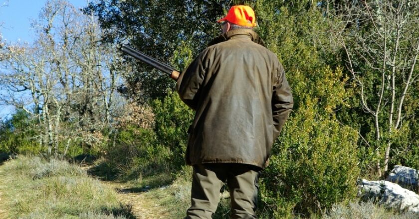 Plan polowań – tradycja w zgodzie z naturą i poszanowaniem środowiska