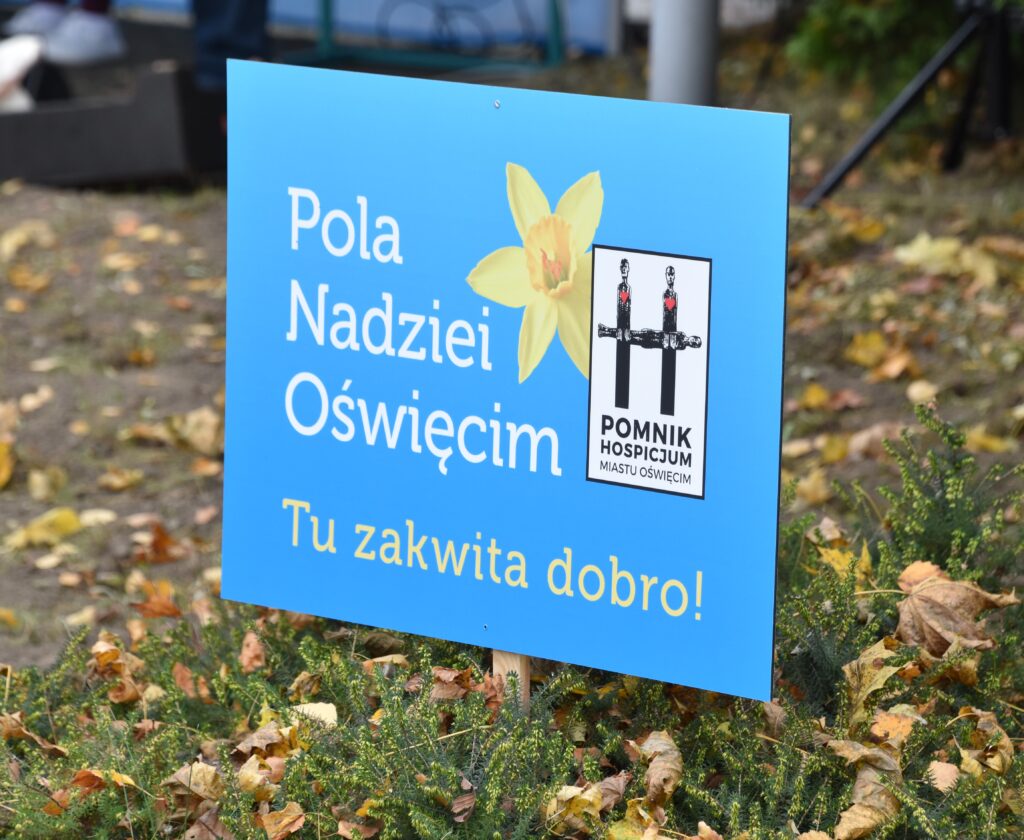 Sadzenie żonkili w Oświęcimiu na rozpoczęcie kampanii „Pola Nadziei” dla Hospicjum