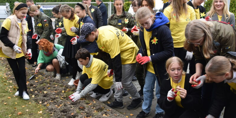 Sadzenie żonkili w Oświęcimiu na rozpoczęcie kampanii „Pola Nadziei” dla Hospicjum