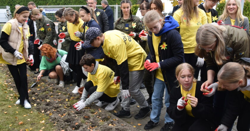 Sadzenie żonkili w Oświęcimiu na rozpoczęcie kampanii „Pola Nadziei” dla Hospicjum